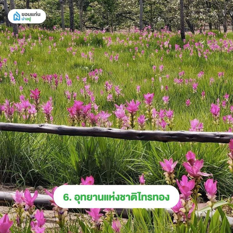 อุทยานแห่งชาติไทรทอง