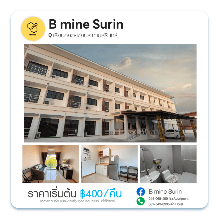 B mine Surin
