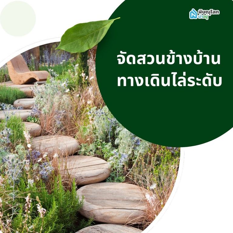 จัดสวนข้างบ้าน ทางเดินไล่ระดับ