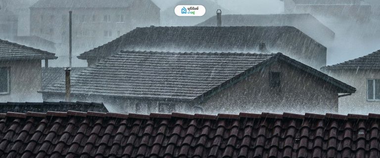 น้ำหนักจร (Live Load) : แขกไม่ได้รับเชิญที่มาพร้อมภัยธรรมชาติ โครงหลังคา สำเร็จรูป vs เชื่อมเอง’ แบบไหนทนทาน ไม่เสี่ยงบ้านพัง?