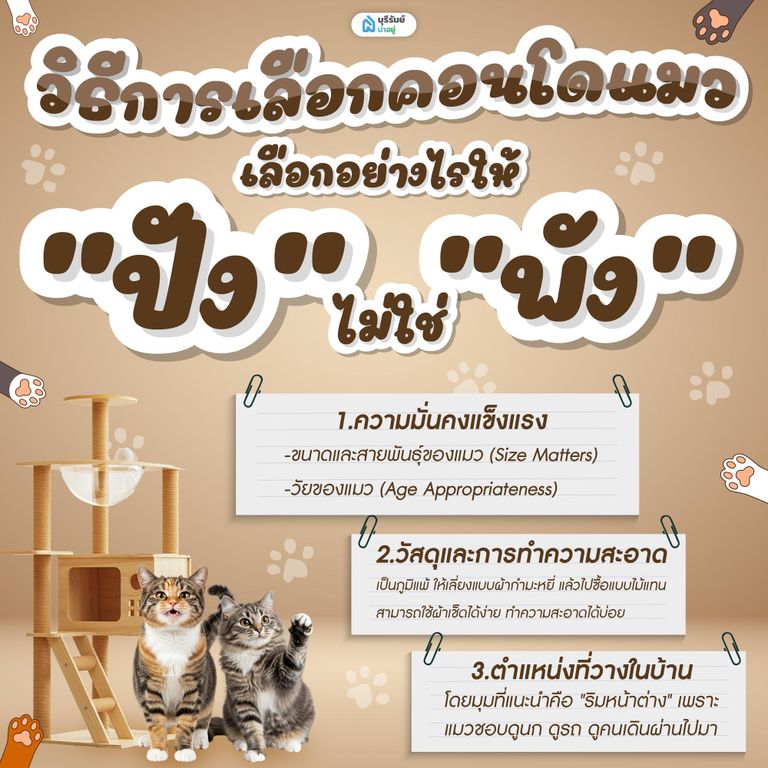 วิธีการเลือกคอนโดแมว เลือกอย่างไรให้ "ปัง" ไม่ใช่ "พัง"