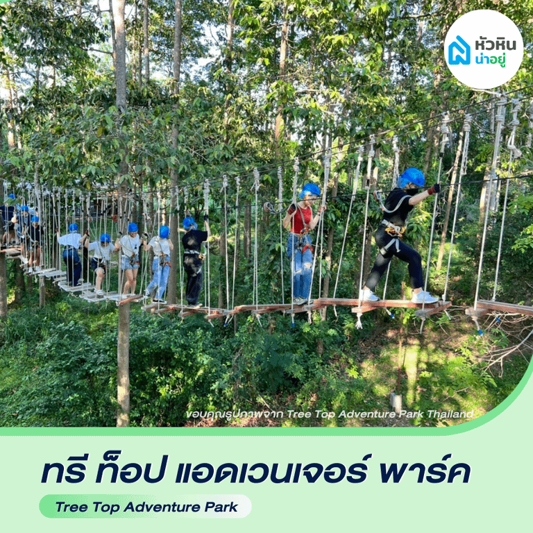 ทรีท็อป แอดเวนเจอร์ พาร์ค หัวหิน (Tree top Adventuure Park) หัวหิน ซอย112 ซ.112 ที่เที่ยว ผจญภัย