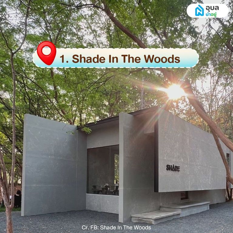 Shade In The Woods