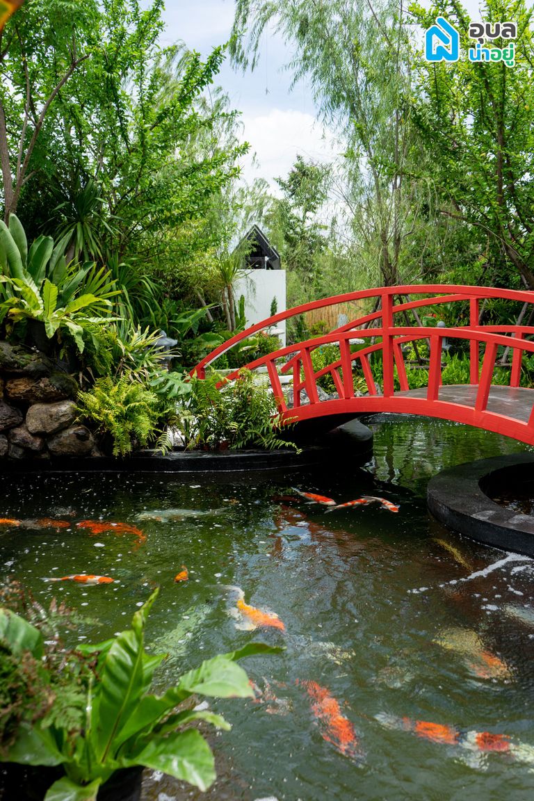 Ai Garden Café & Studio - บ่อปลาคาร์ฟ