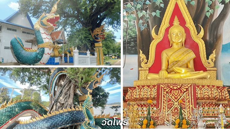 วัดโพธิ์