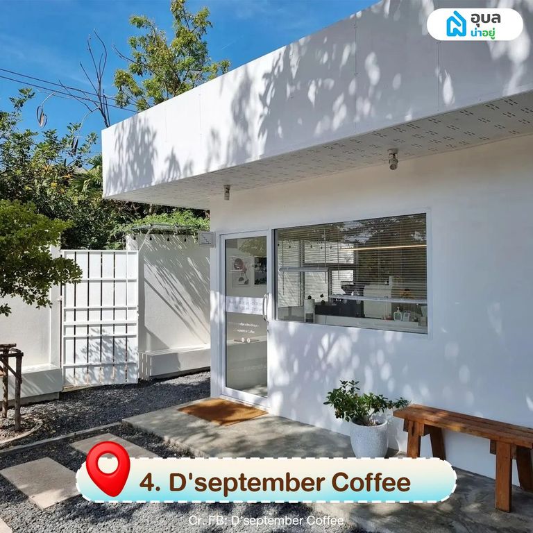 D'september Coffee