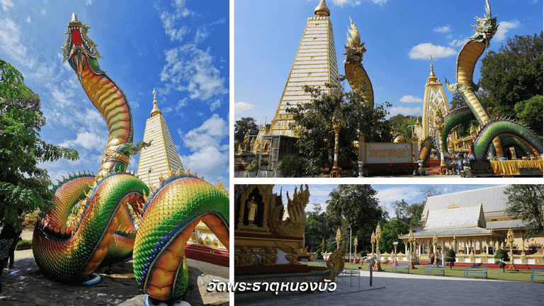 วัดพระธาตุหนองบัว