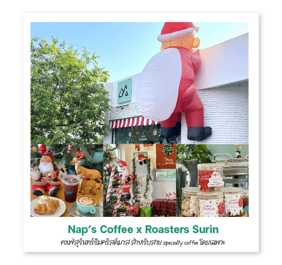 Nap’s Coffee x Roasters Surin