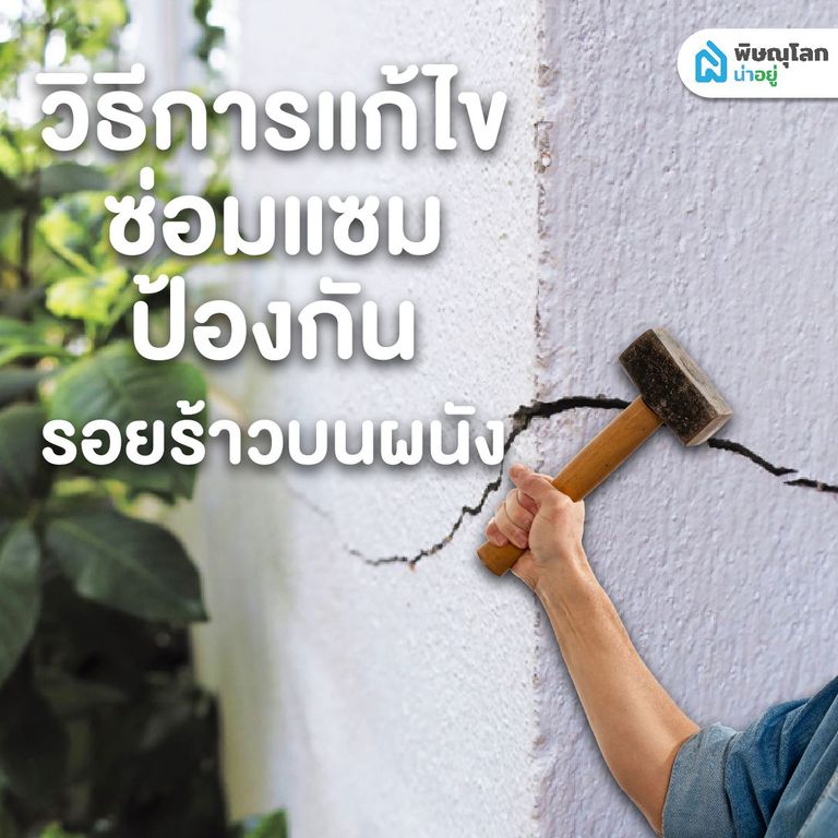 เช็กรอยร้าวผนัง แบบไหนที่ควรกังวล และส่งผลเสีย พร้อมทางแก้ไข
