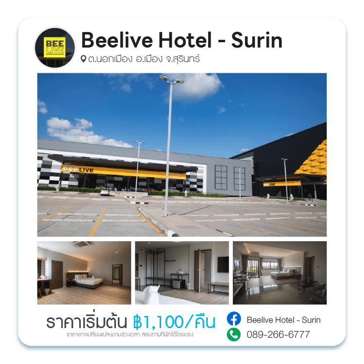 โรงแรมบีลีฟ สุรินทร์ Beelive Hotel Surin