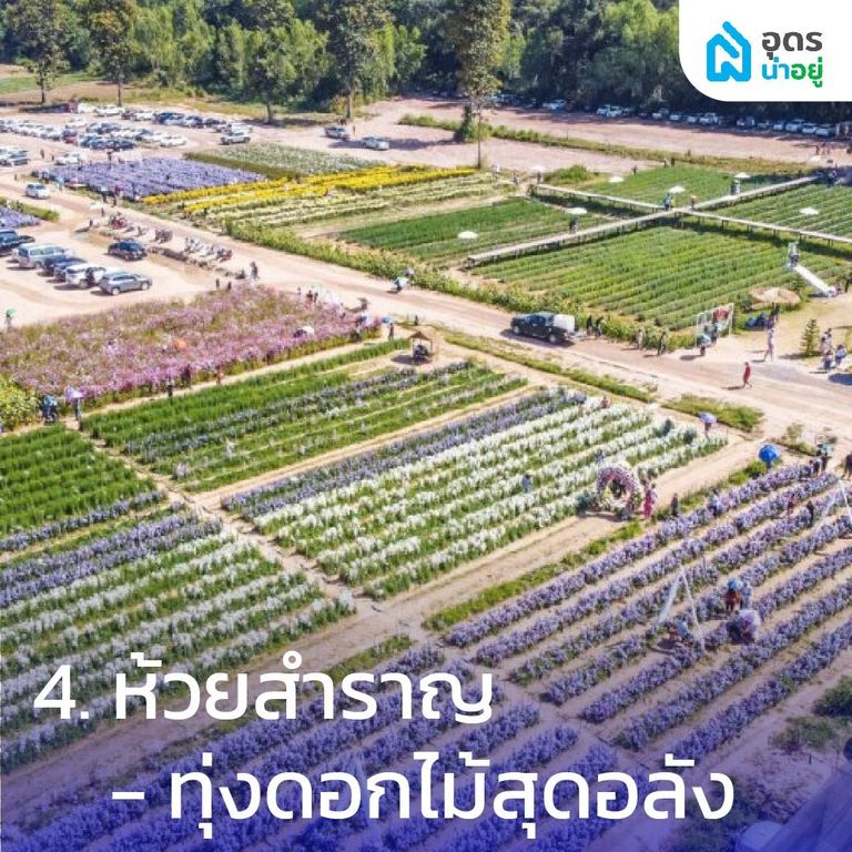 ห้วยสำราญ – ทุ่งดอกไม้สุดอลัง