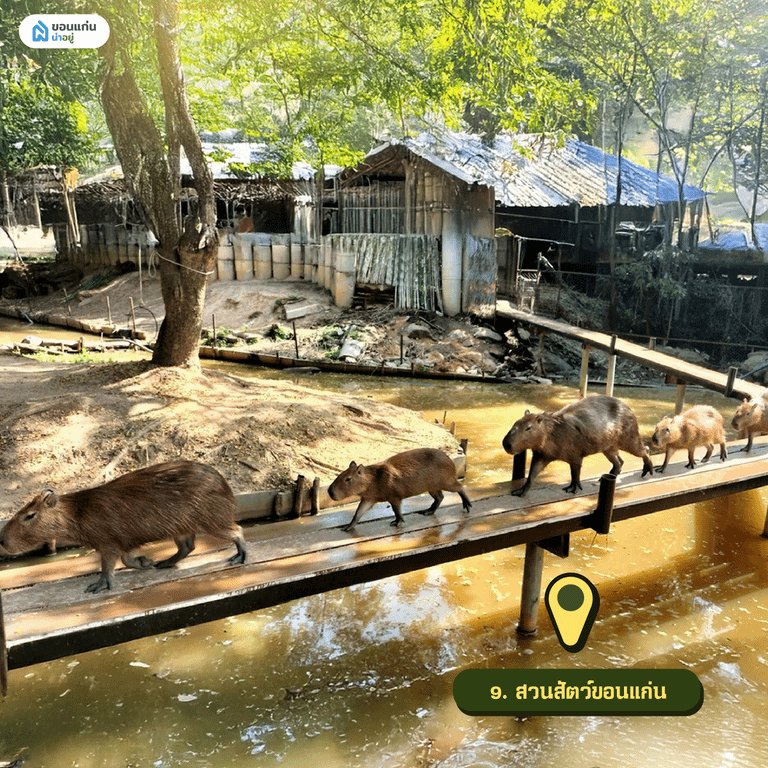 สวนสัตว์ขอนแก่น
