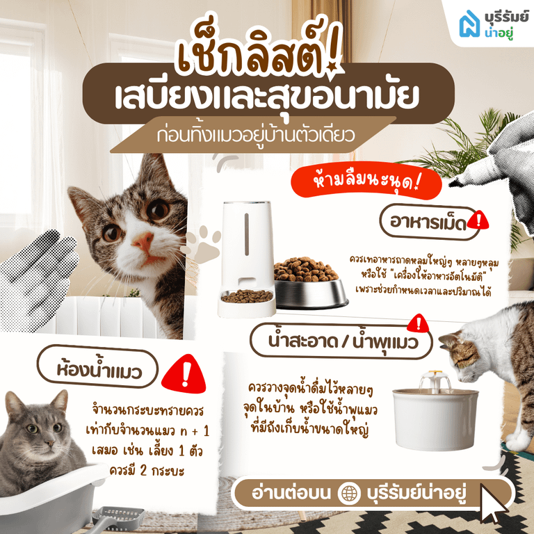 เช็กลิสต์ เสบียงและสุขอนามัย ก่อนทิ้งแมวอยู่บ้านตัวเดียว