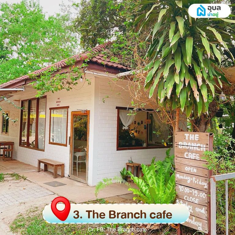 The Branch cafe