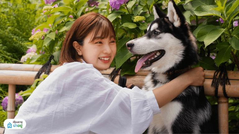 Pet Parenting