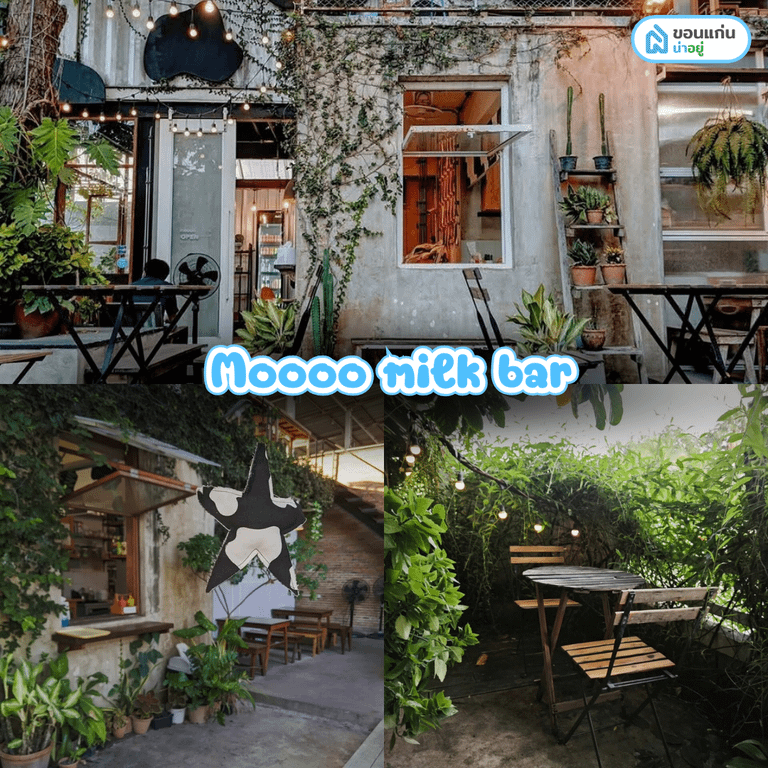 คาเฟ่มข. Moooo milk bar