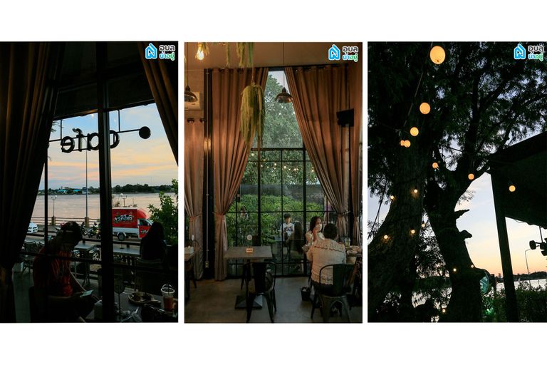 Tree Cafe Rim Moon